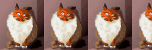 [fluffy]